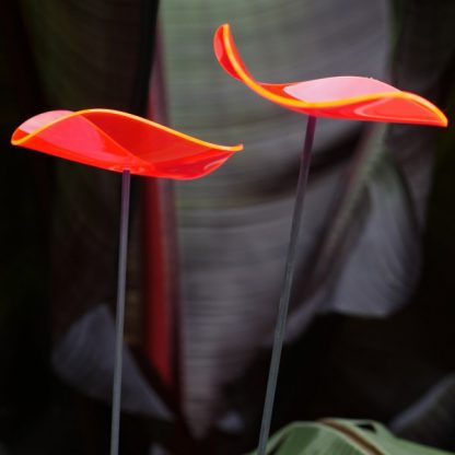 Sun Catcher - Image 5
