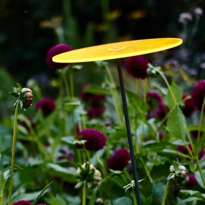Sun Catcher - Image 4