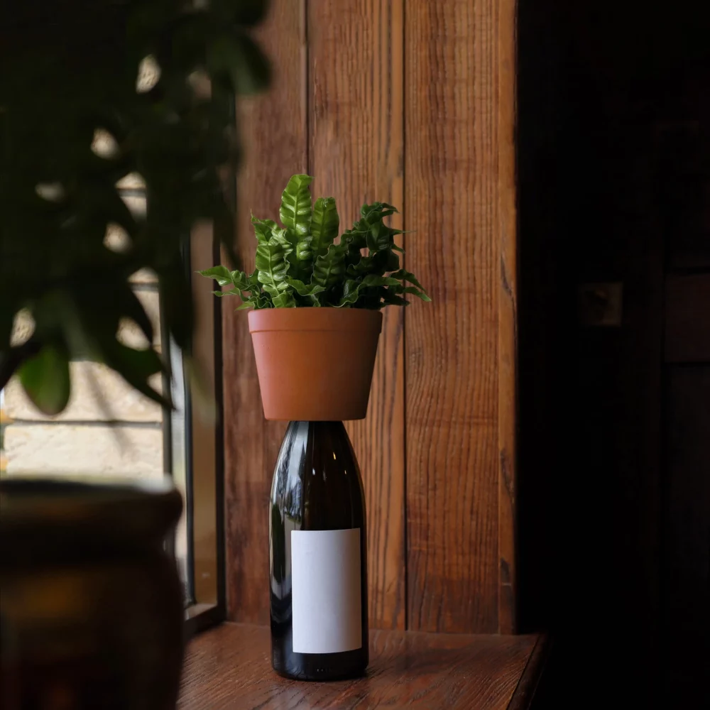 bottle planter by kikkerland